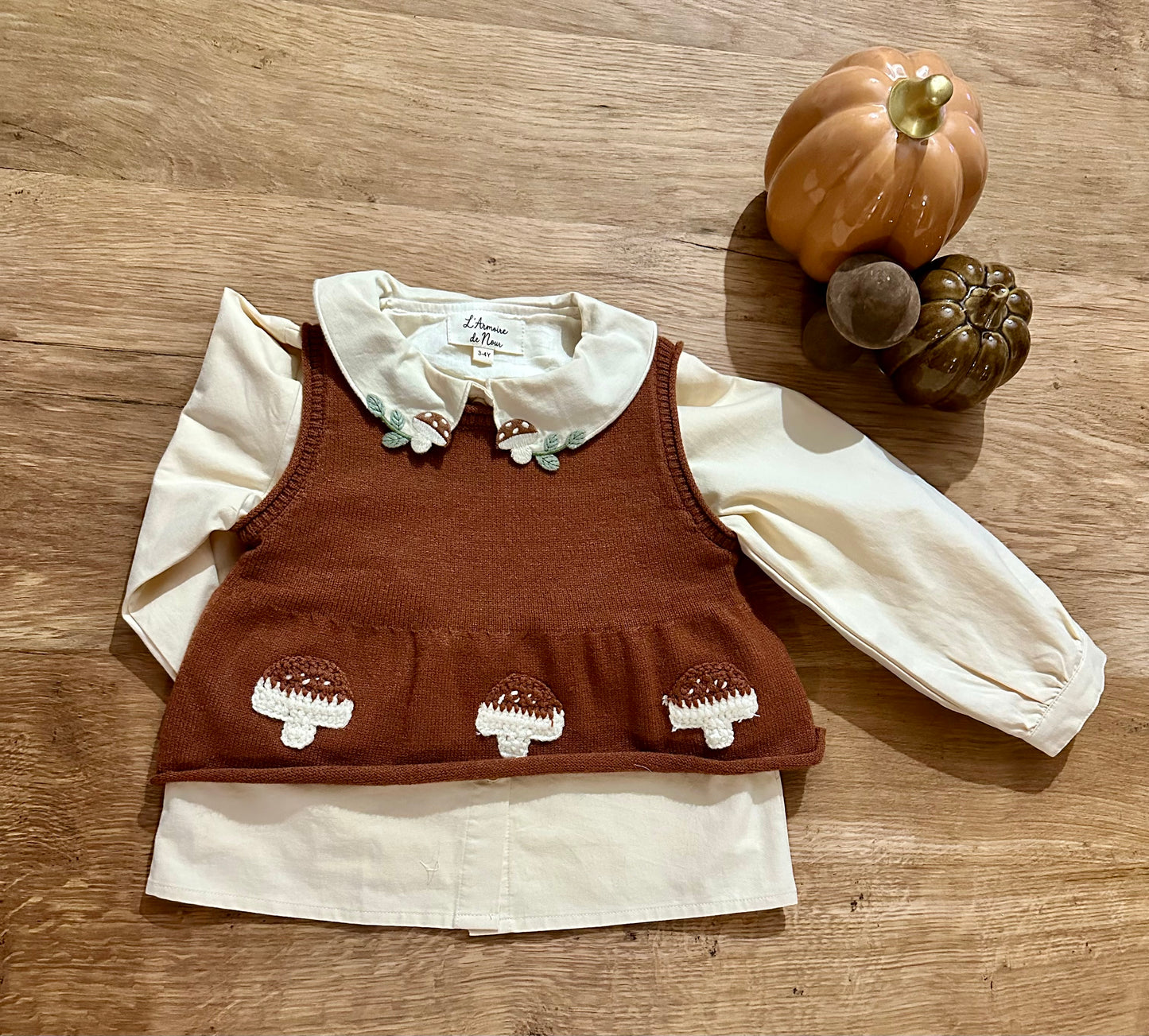 Pull Petit Champignon