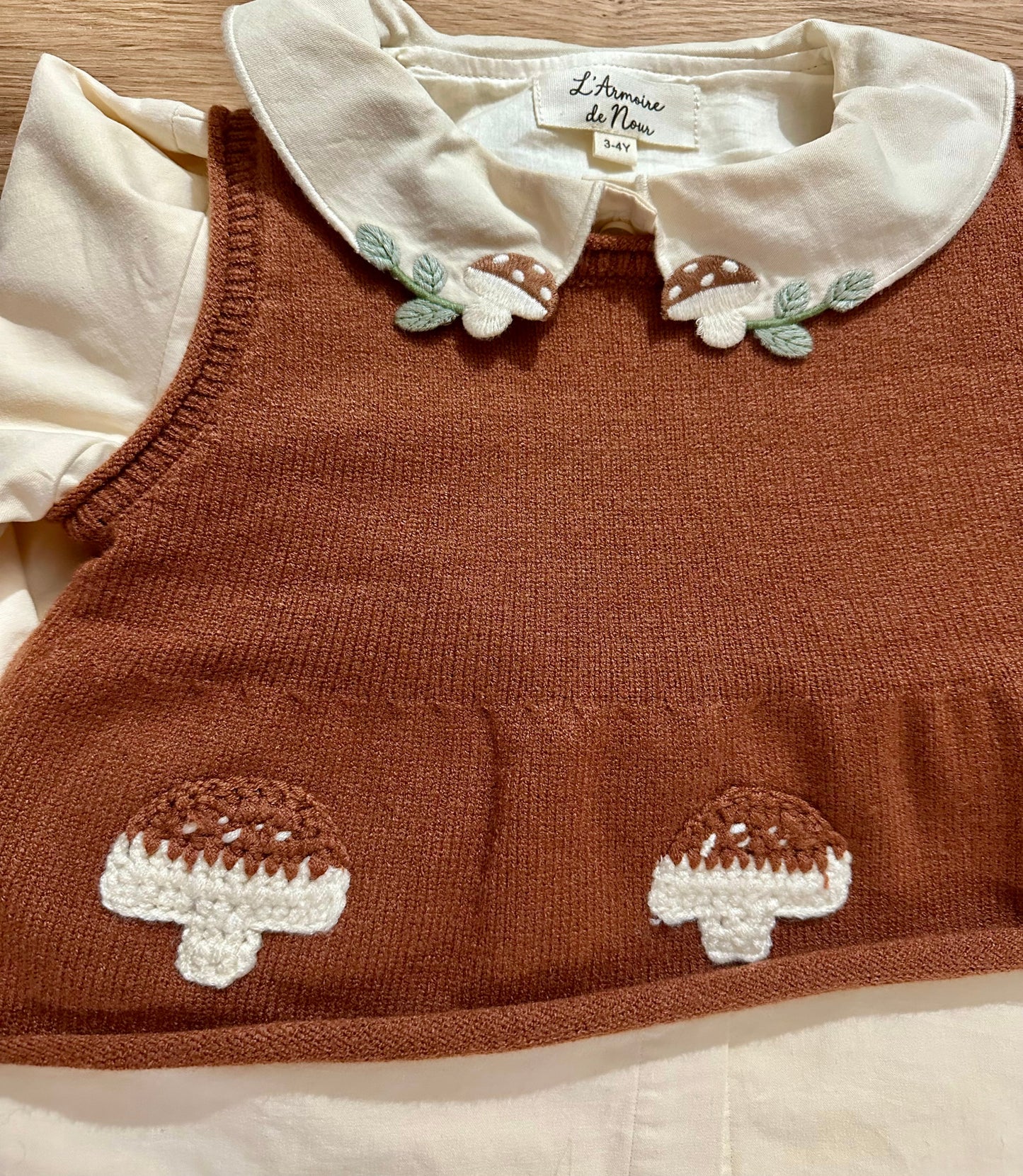 Pull Petit Champignon